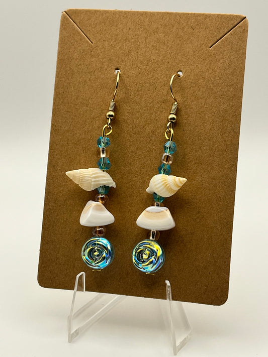 Seashells and fragments with Crystal and Glass
