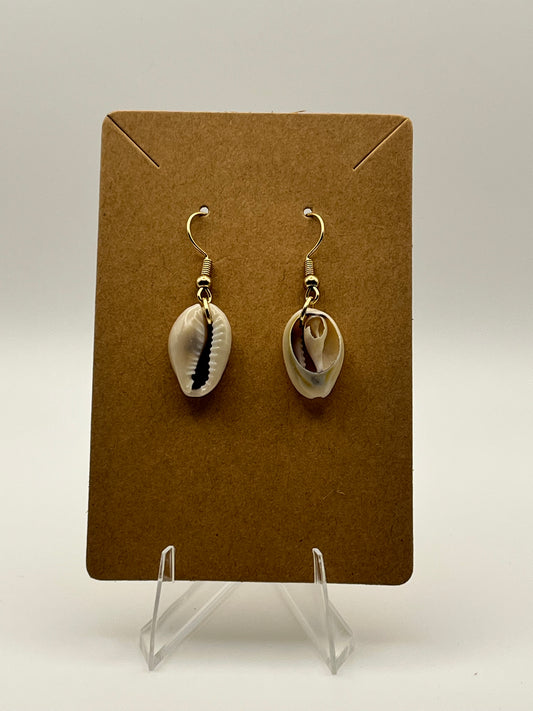 Cowries Open Shell