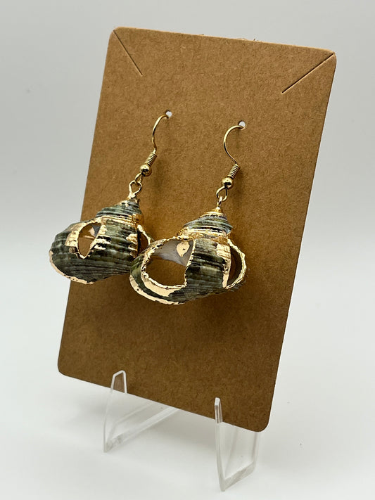 Seashells Green/Gold Open